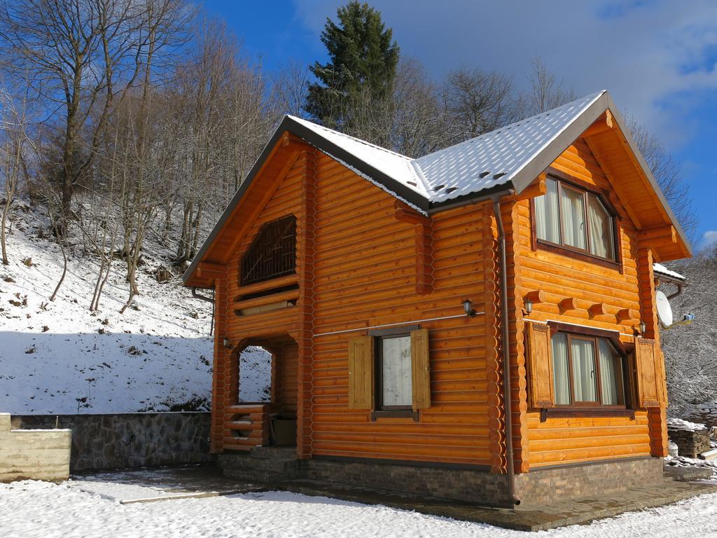 Cottage Goyra Яремче Екстериор снимка