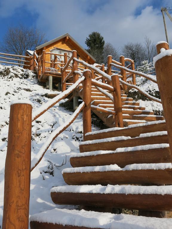 Cottage Goyra Яремче Екстериор снимка