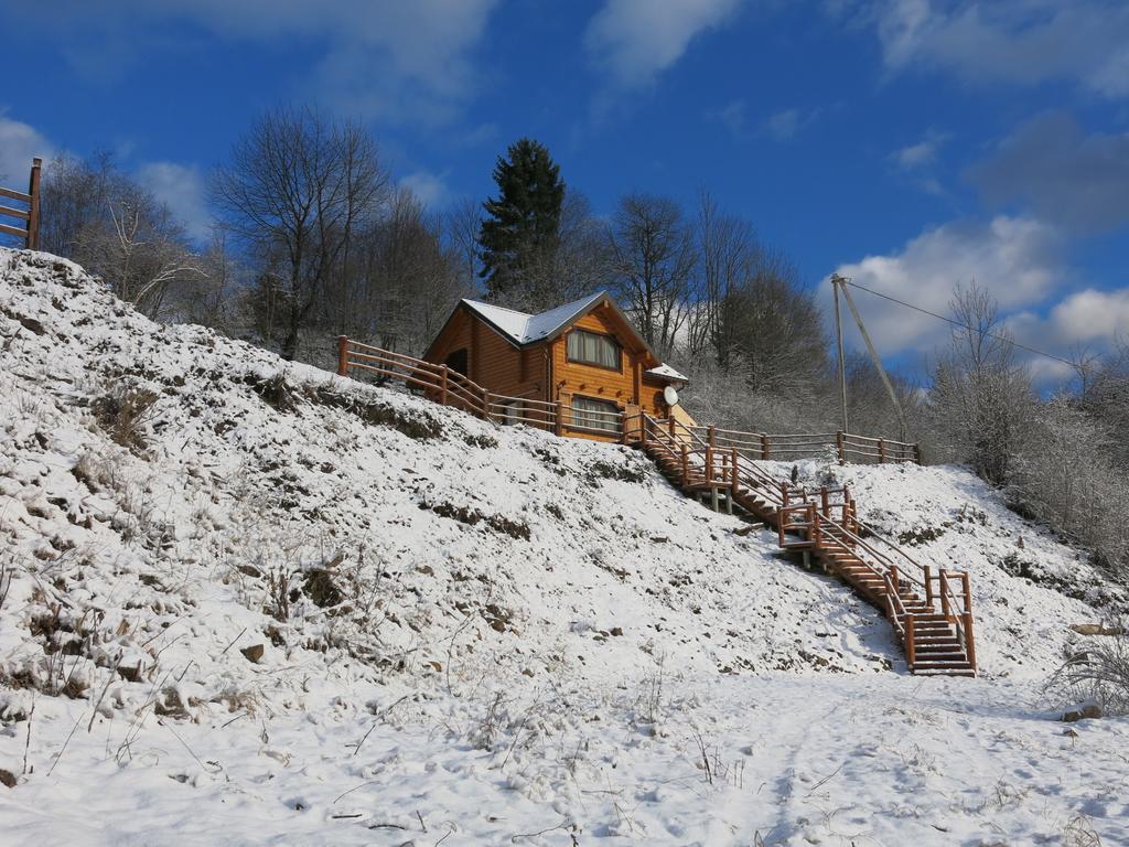 Cottage Goyra Яремче Екстериор снимка